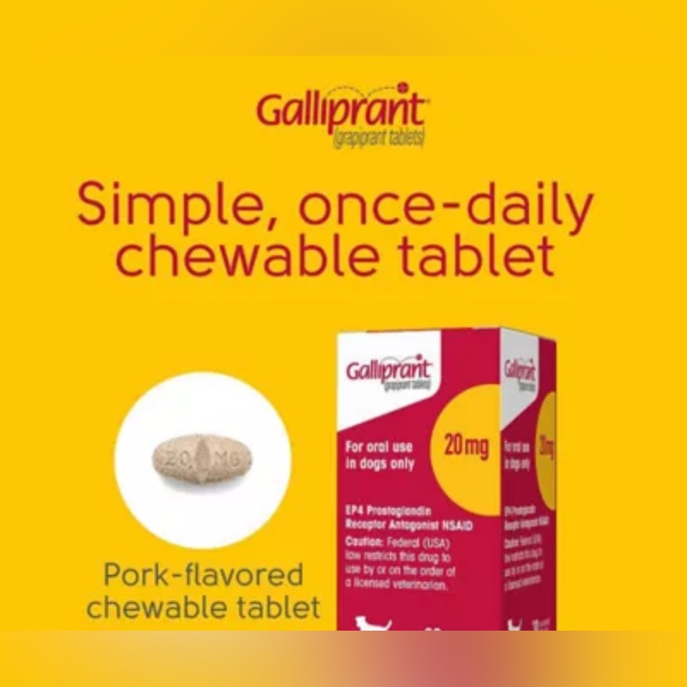 Galliprant Pain Pills (Dogs Only)